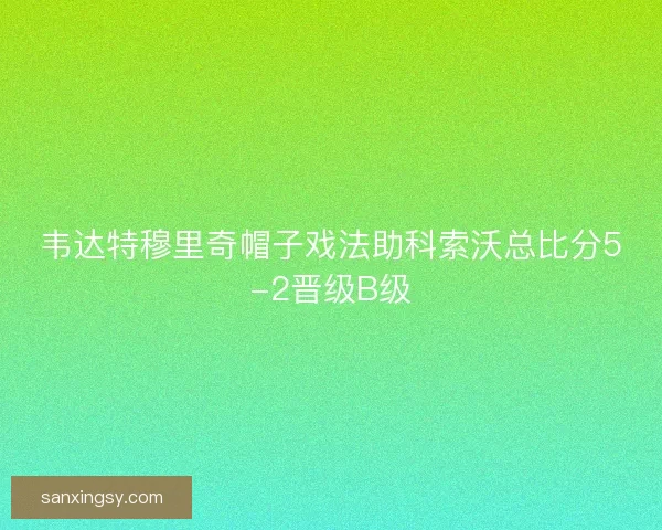 韦达特穆里奇帽子戏法助科索沃总比分5-2晋级B级